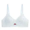 Verano Nuevo Estilo Fresco Cuadros Fruncido Sin Costuras Inalámbrico Forma de U Espalda Hermosa Anti-Caída Cómodo Sujetador para Mujeres Venta al por Mayor