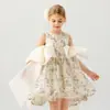 Vestido Infantil Vestido de Princesa 2026 Novo Estilo Sem Mangas Renda Linha A Vestido de Passarela para Meninas Fornecimento de Comércio Exterior