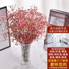 Yunnan Kunming Dounan Céu Estrelado flores secas naturais pesando Jin vendendo buquê grande de sala de estar fresca para decoração de casa frete grátis
