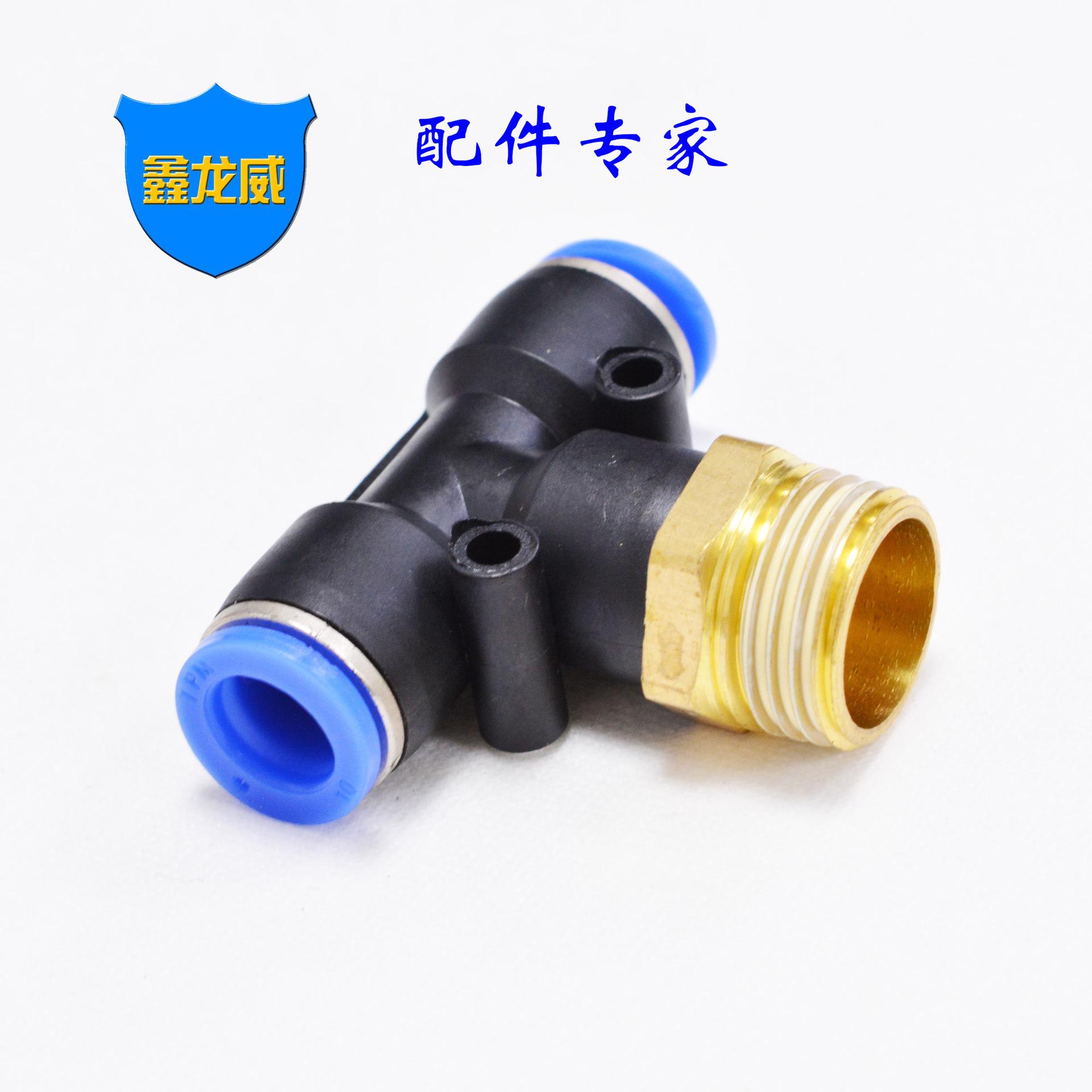 PB10-04 TPM.jpg