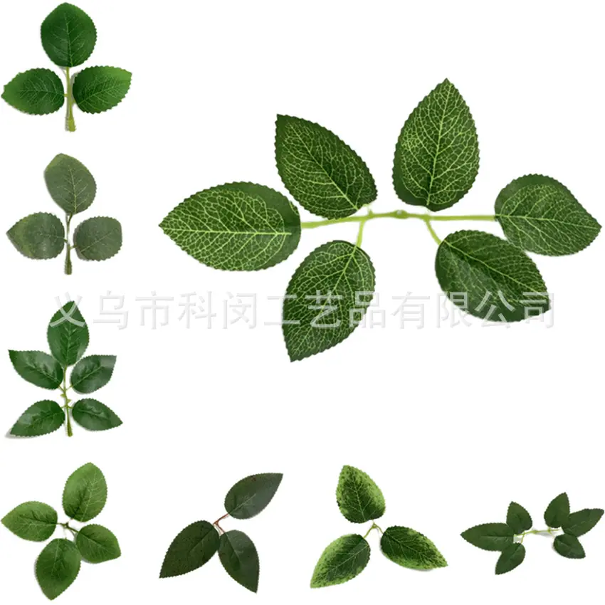 微信图片_20220601225137_1副本_副本
