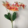 Orquídea Phalaenopsis Artificial de 5 Ramas para Exhibición en Sala de Estar, Orquídea Falsa en Maceta con Textura de PU, Flor Decorativa para el Hogar