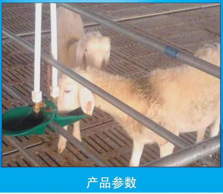 羊饮水碗AA详情页(3).jpg