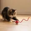 Bola de Brinquedo para Gato que Rola Automaticamente, Bola Móvel Interativa para Brincadeira Autônoma com Corda, Brinquedo de Exercício Recarregável por USB para Filhotes e Gatos de Interior
