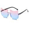 Gafas de Sol Nuevas Transfronterizas Gafas de Sol para Niños Moda Degradada Elegantes Tendencia Gafas de Sol Hombres y Mujeres Lindas Fotografía Callejera Visores Solares