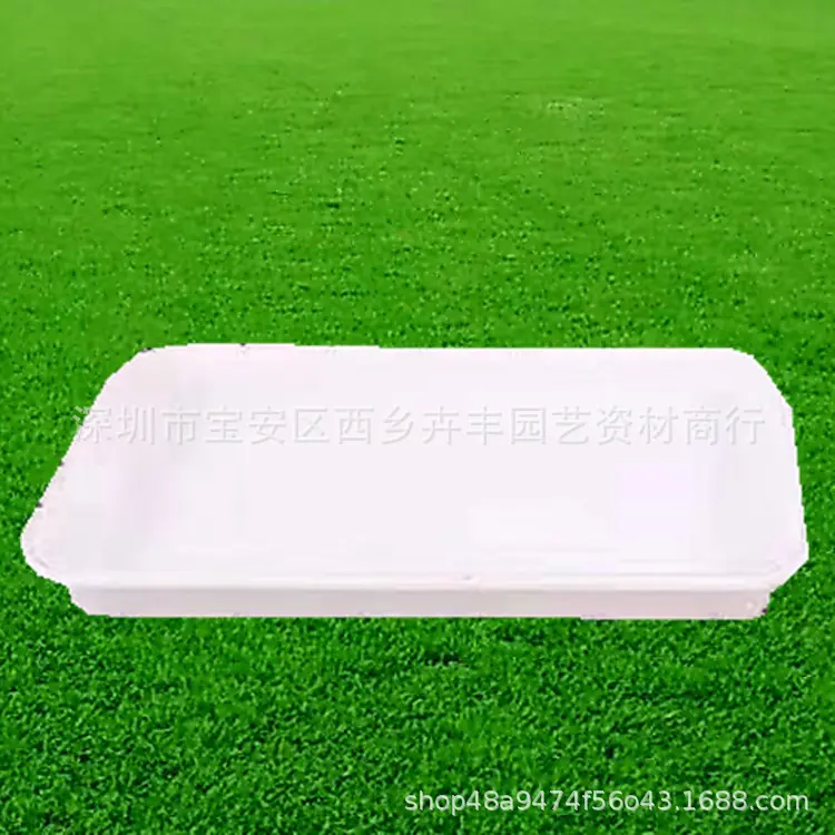 767627808252343895