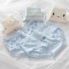 Estilo Japonês Simples Azul Nuvem Morango Cueca Feminina Algodão Puro Crotch Cintura Média Estudante Calcinha