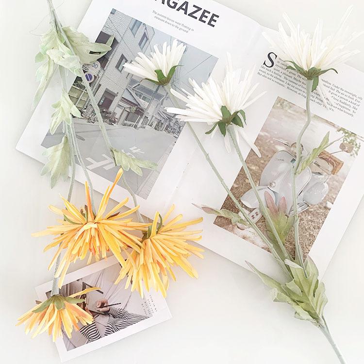 IMG_8019(20220721-111220)