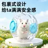 Atacado Coroa Ásia Bola de Brincar para Hamster Pequeno Hamster Dourado Gerbil Fitness Exercício Brinquedos e Suprimentos de Alimentação