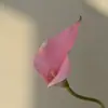Decoración Floral para el Hogar al por Mayor Transfronteriza Lirios de Calas de Tacto Real de Tamaño Mediano para Arreglos Florales de Sala de Estar y Mesa de Comedor Flores Artificiales