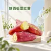 Batata Doce Doce de Shaanxi Dropshipping Mel Fresco Batata Doce Crua Batata Doce Assada Ingrediente Batata Doce Caixa Fechada Atacado Legumes Frescos