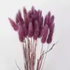Comércio eletrônico transfronteiriço comércio exterior Amazon cor flor seca rabo de coelho grama atacado diy pequeno buquê vaso buquê