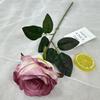 Novo Single Internacional Aisha Rose Conjunto de Casamento Decoração de Parede de Flores para o Dia dos Namorados e Feriados Arranjo Floral para Casa Atacado