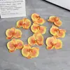 Cabezas de Flor de Orquídea Mariposa Simuladas Tipo Película para Decoración del Hogar, Paredes de Flores para Bodas, Flores Artificiales, Ramos de Boda, Silicona