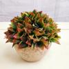 Mini planta de cactus en maceta de estilo nórdico, carnosa, pequeña, de simulación, verde, decorativa, de escritorio