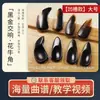 Unhas Profissionais de Guzheng para Crianças e Adultos, Unhas Curvas Dupla Face Específicas para Exames de Guzheng