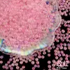 Cuentas de Cristal Bobo Symphony de 5 mm No Porosas Burbuja Hechas a Mano para Joyería DIY Cuentas Redondas Accesorios de Cuentas Sueltas Material de Video
