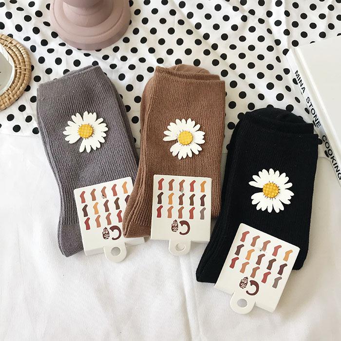 IMG_5376(20191229-231244)