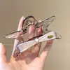Pinza de pelo pequeña con garra para temperamento de princesa, pinza de pelo lateral estilo coreano exquisita, sensación de alta gama, nuevo pinza de pelo para media coleta 2026
