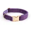 Directo de fábrica, en stock, juego de collar y correa de terciopelo para mascotas transfronterizo para perros y gatos pequeños y medianos, personalizable con logo
