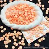 Materiales Accesorios Hechos a Mano DIY Rodajas de Fruta de Arcilla Suave Paquete Pequeño Set de Relleno de Resina Pegamento de Crema Decoraciones