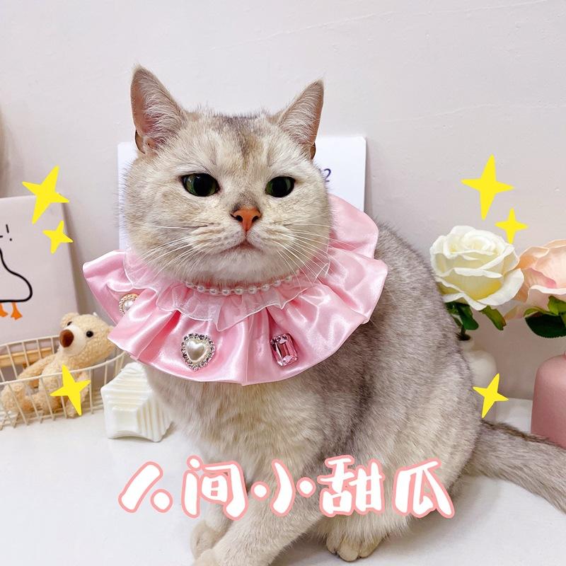 IMG_6507(20230317-225612)_副本