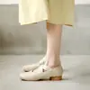 Zapatos Mary Jane para mujer, estilo vintage, punta cuadrada, bailarinas versátiles de hocico de cerdo, zapatos de abuela de tacón grueso estilo hada poco profundos