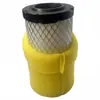 Elemento de Filtro para Cortacésped Briggs&Stratton793569 793685 33177 331807 Filtro