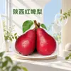 Shaanxi Pera Roja Dropshipping 3/5/9 Jin Pera Roja Comis Pera Occidental Suave Tierna Fruta Fresca de Temporada