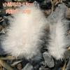 Fantasia Cor Macaron Color Series diy Bouquet Garland Pena Decorativa Bobo Ball Feather Caixa de Presente Filler