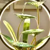 Roda Feng Shui Atrai-Riqueza Fonte de Água Ornamentada para Mesa de Trabalho, Recepção, Sala de Estar, Água Circulante, Presente de Inauguração, Nova Casa, Decoração