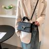 2022 Nuevo Bolso de Mujer Moda Trendy Bolso Cruzado de Mujer Bolso Pequeño de Mujer Bolso de Hombro Casual Simple Cierre de Marco Oblicuo Bolso Cuadrado Pequeño