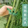 Clipe para Jardim Verde Transfronteiriço Flor de Tomate Jardim Clipe de Planta de Plástico Amazon Clipe de Jardinagem