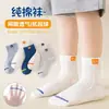 Los calcetines de malla para niños son frescos y transpirables en verano, los calcetines de dinosaurios de dibujos animados para niños son lindos y adorables, calcetines para niños de primaria