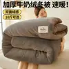 Núcleo de colcha de terciopelo de leche, franela de doble cara, colcha de invierno gruesa, colcha de primavera y otoño para dormitorio de estudiante, colcha de algodón cálido, protector de colchón