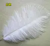 Penas de Avestruz Decoração de Casamento Acessórios de Vestuário Adereços de Performance Ornamentos de Pena DIY 20-25cm