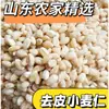 Arroz de Germen de Trigo Pelado, Nueva Cosecha, Granos Enteros Pelados Comestibles, Arroz de Grano Grueso, Arroz Integral, Productos de Granja