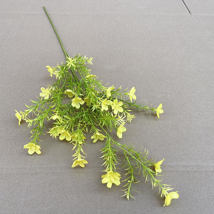 常春花-黄色-4.5.JPG