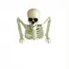 Adorno de Calavera de Halloween 25cm Plástico Modelo de Esqueleto Simulado Atrezo de Decoración de Terror para Bar KTV Escena