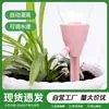 Dispositivo de Rega Automática para Preguiçosos, Regador Automático Completo para Flores, Dispositivo de Irrigação por Gotejamento, Gotejador de Água, Temporizador