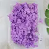 Materiales para Manualidades de Flores Preservadas Nivel A Hoja Pequeña Madera Anna Hortensia Oso Hecho a Mano Marco de Fotos