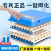 Incubadora de Huevos Mini Inteligente de Fábrica para Huevos de Codorniz, Hatchera de Huevos con Control de Temperatura, Totalmente Automática