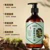 Aceite esencial popular para masaje corporal, aceite de vitalidad herbal, aceite esencia para el confort del pecho, aceite esencia reductor, venta al por mayor personalizada