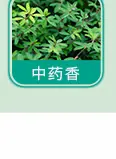 日用香精系列明细_34.jpg