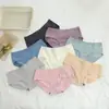 Comercio Exterior al por Mayor ~ Encaje Color Sal Marina que Cubre la Cadera Algodón Transpirable Multicolor Ropa Interior para Mujer