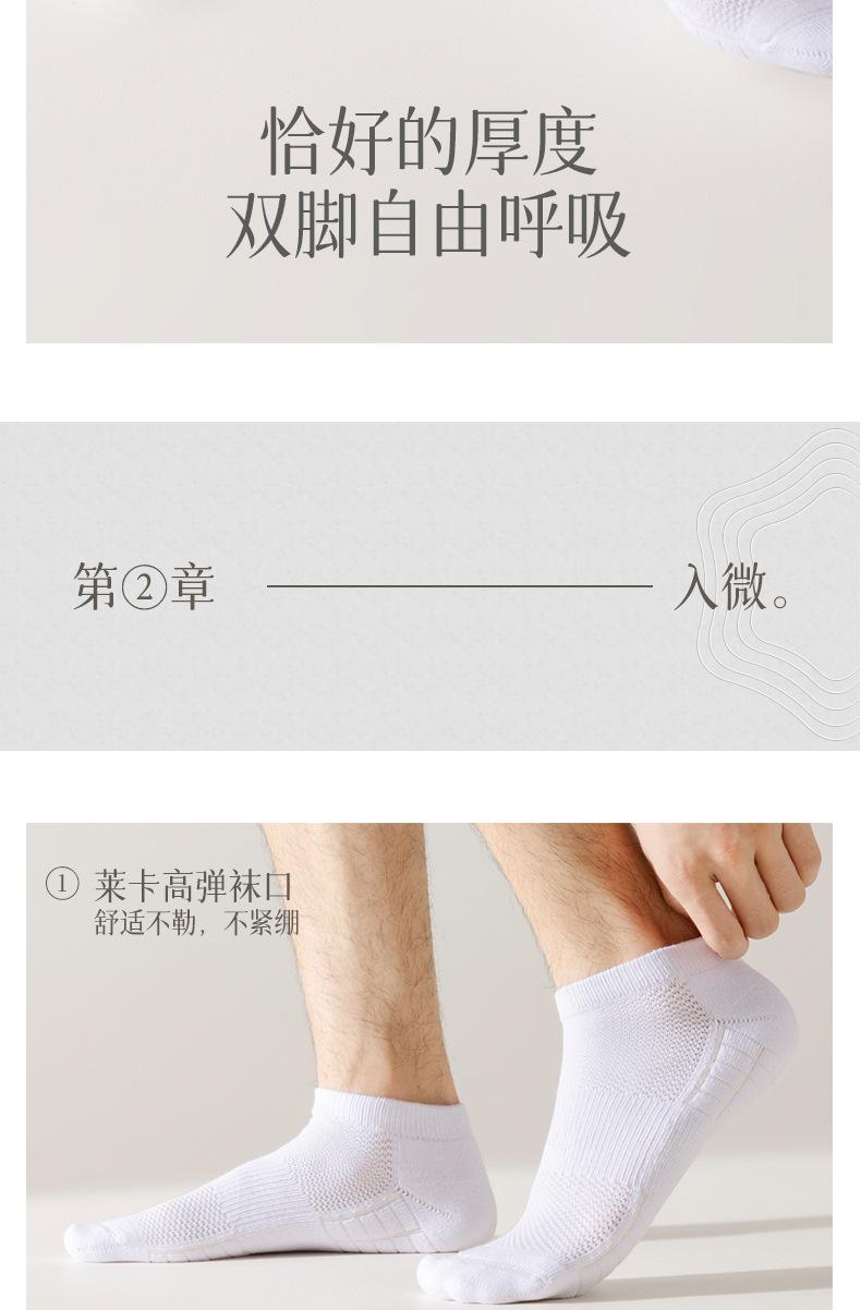 详情_16.jpg