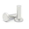 [Remache de cabeza plana 304] Remache sólido de cabeza plana de acero inoxidable GB109 de percusión 1,5 2 2,5 3 4 5