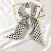 Bufanda Larga Pequeña de Seda Cinturón para el Cabello Corbata de Bolsillo de Alta Gama Cinturón de Cinta Lazo para el Cabello de Mujer Primavera y Otoño Combinación Perfecta