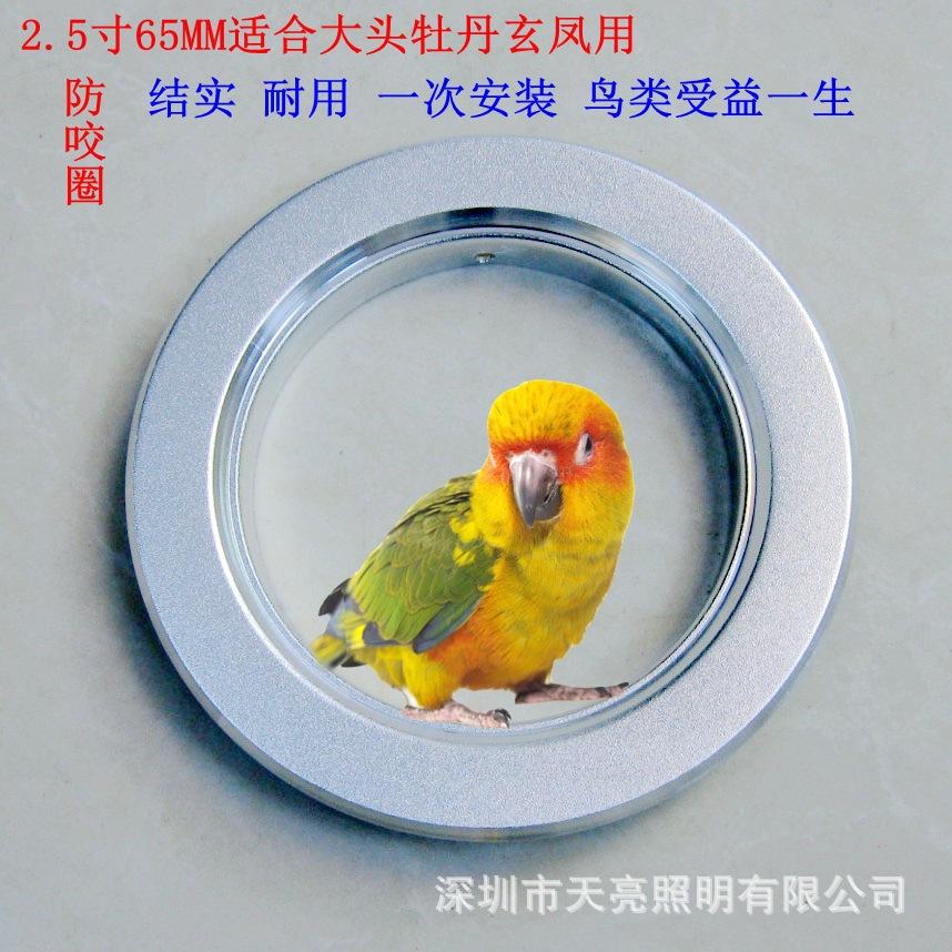 IMG_2567副本_副本1