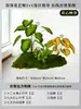 Musgo para Paisajismo de Plantas Verdes Plantas Artificiales Decoración Flores Artificiales Combinación Tropical para Interiores Paisaje de Ventana Persa Arreglo de Césped
